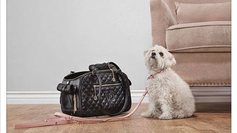 Petco Vanderpump Pets 'Who's Vanderpampered?' Facebook Update